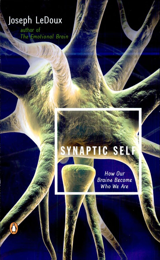 Cover of Synaptic Self: How Our Brains Become Who We Are
