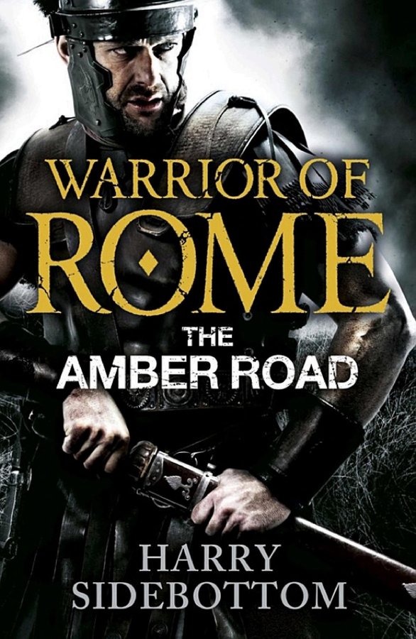 Cover of The Amber Road (Warrior of Rome, #6)
